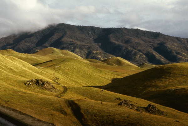 CalifHills69_2253aWT2