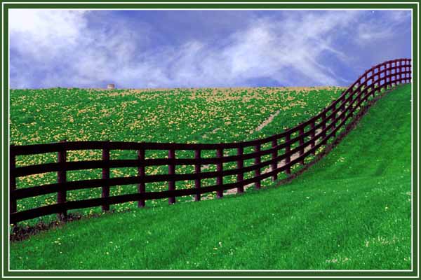 CurvedFence_13487PCbW