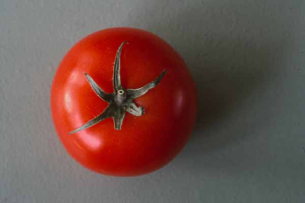 Tomato_13897aia
