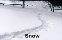 snowtrail_14844grtxt2